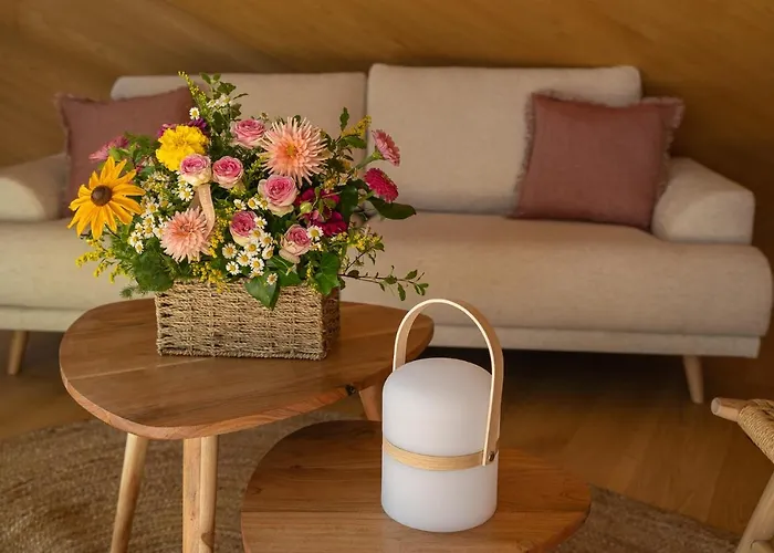 Kamp alanı De Xaras, Neboda *