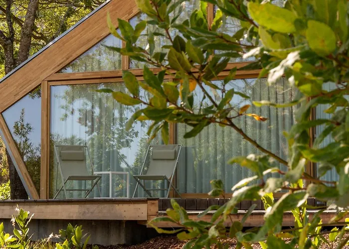 Kamp alanı De Xaras, Neboda Marín